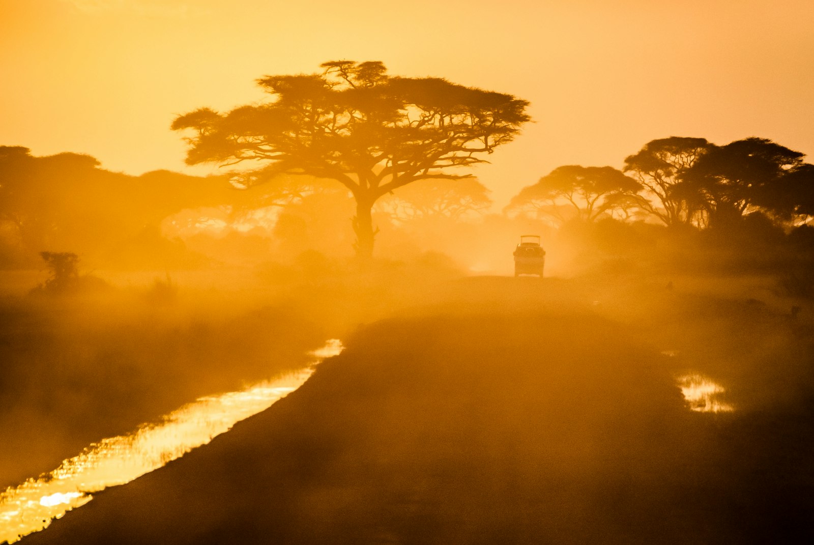 An African savanna landscape at sunset